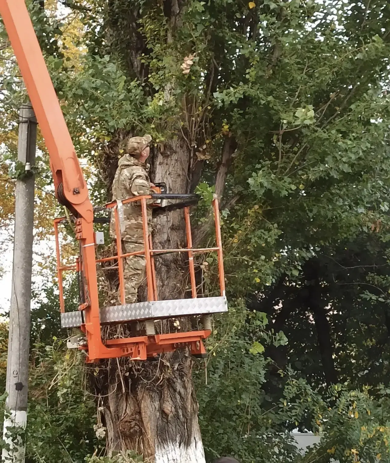 Доброе утро, Черкесск🕊️