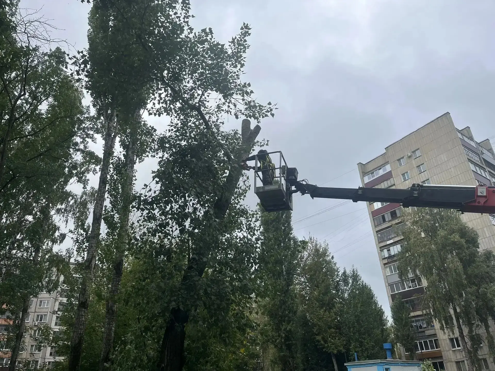 История одного обращения, которое стало общим успехом