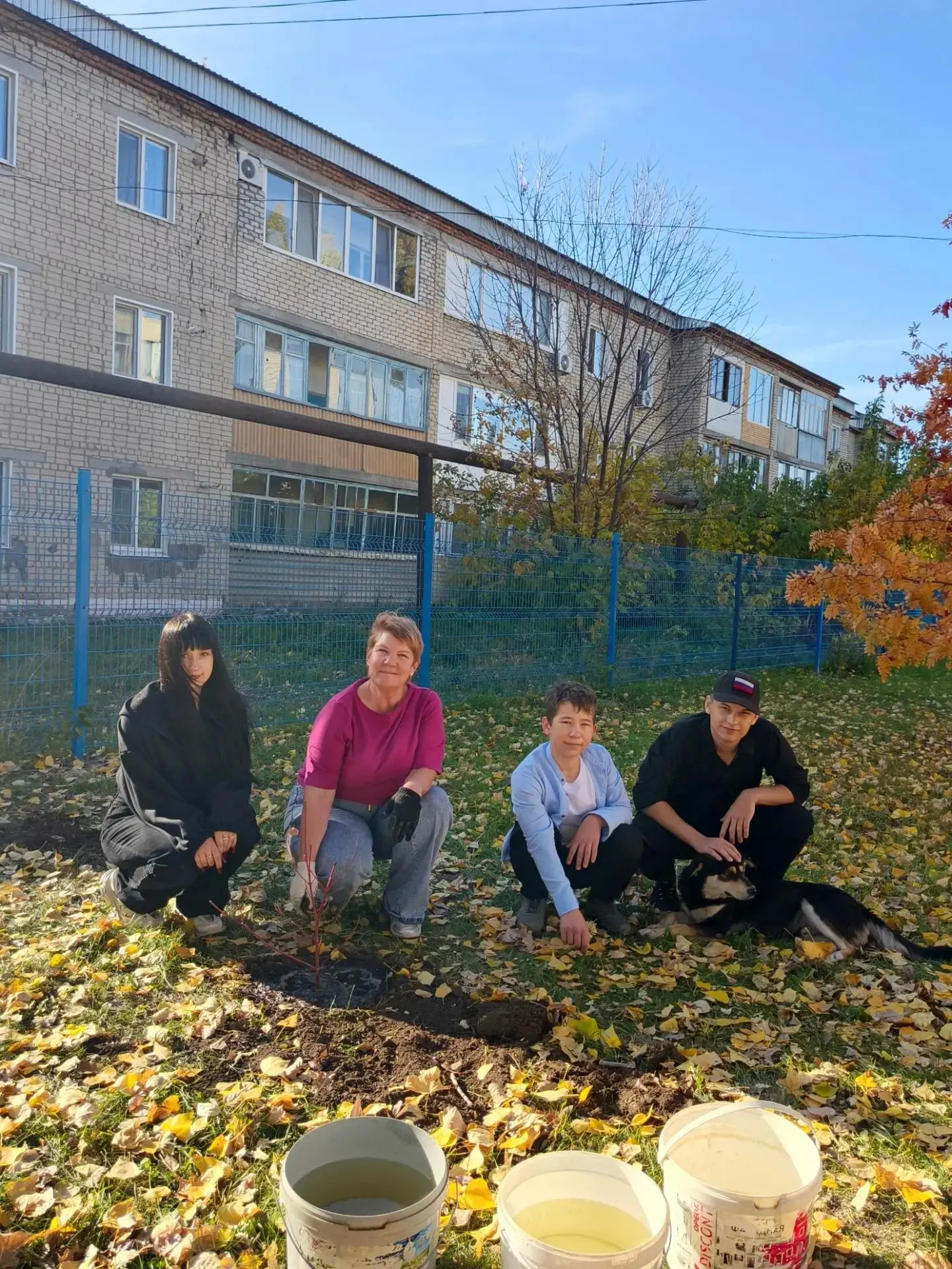 🌳 Школьная акция «Зелёный аттестат роста»: в эфире новости: