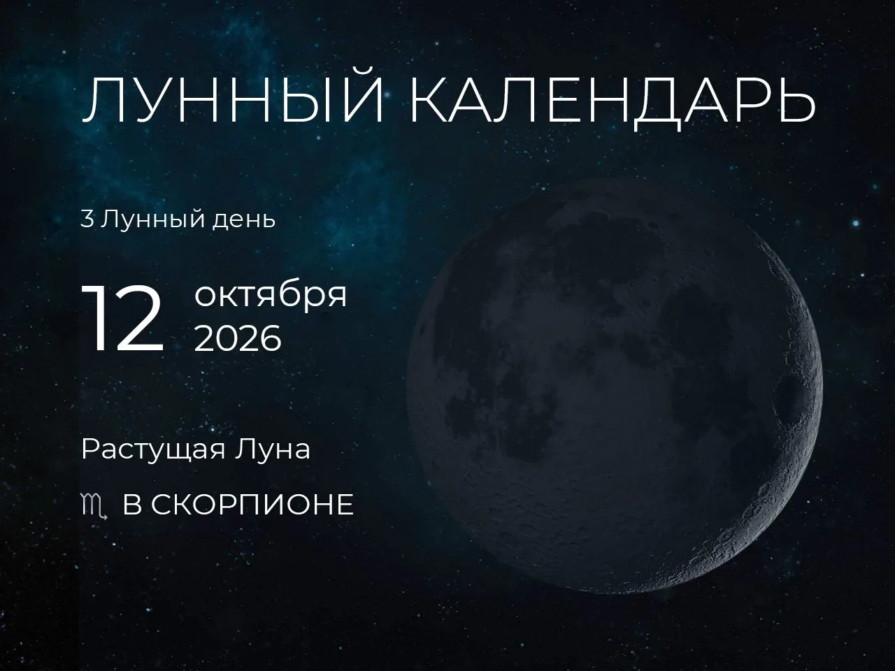 📆 Рекомендации дня: