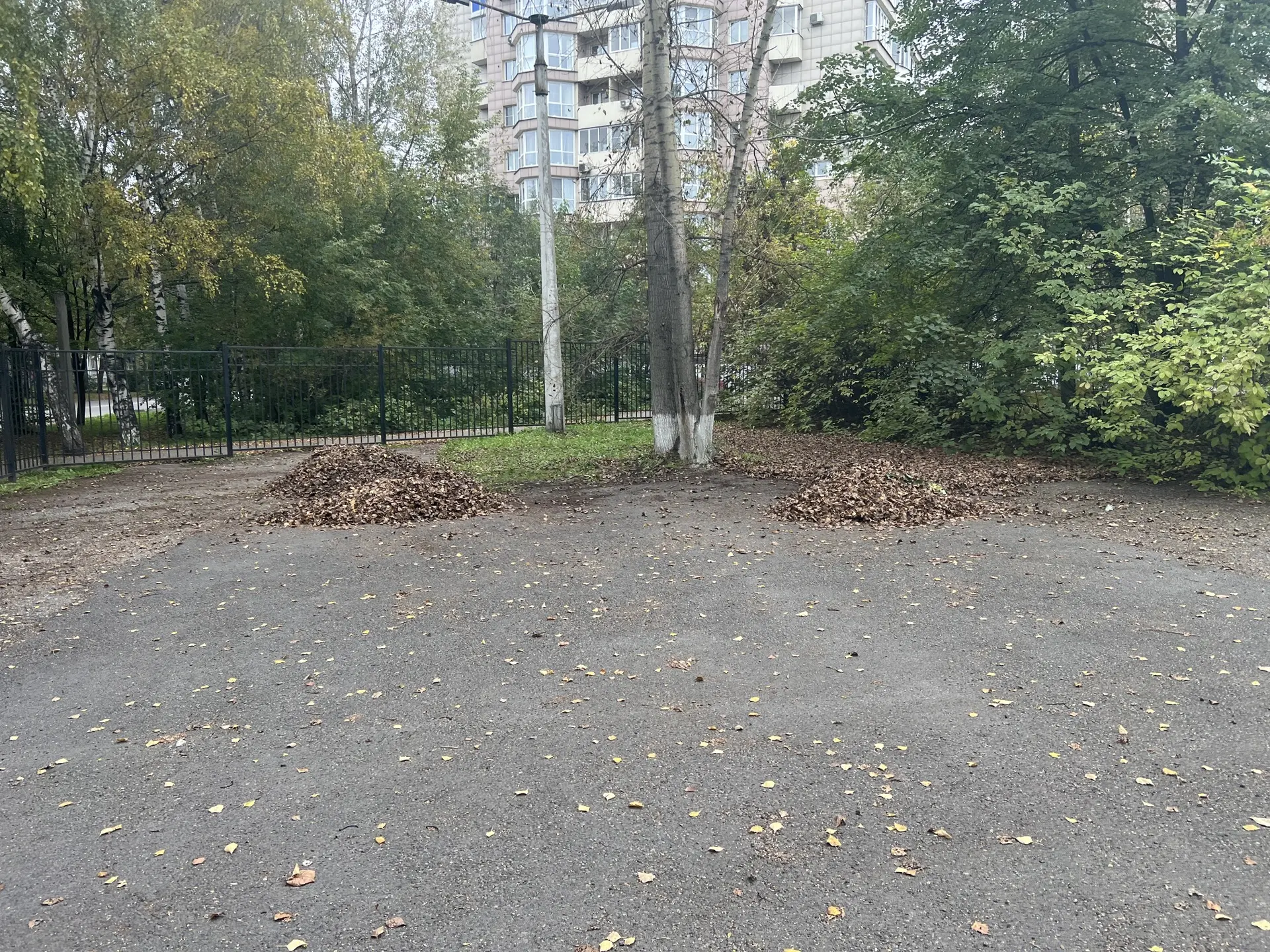 🍂 Субботник — это отличная добрая традиция, которая объединяет людей и делает мир вокр...