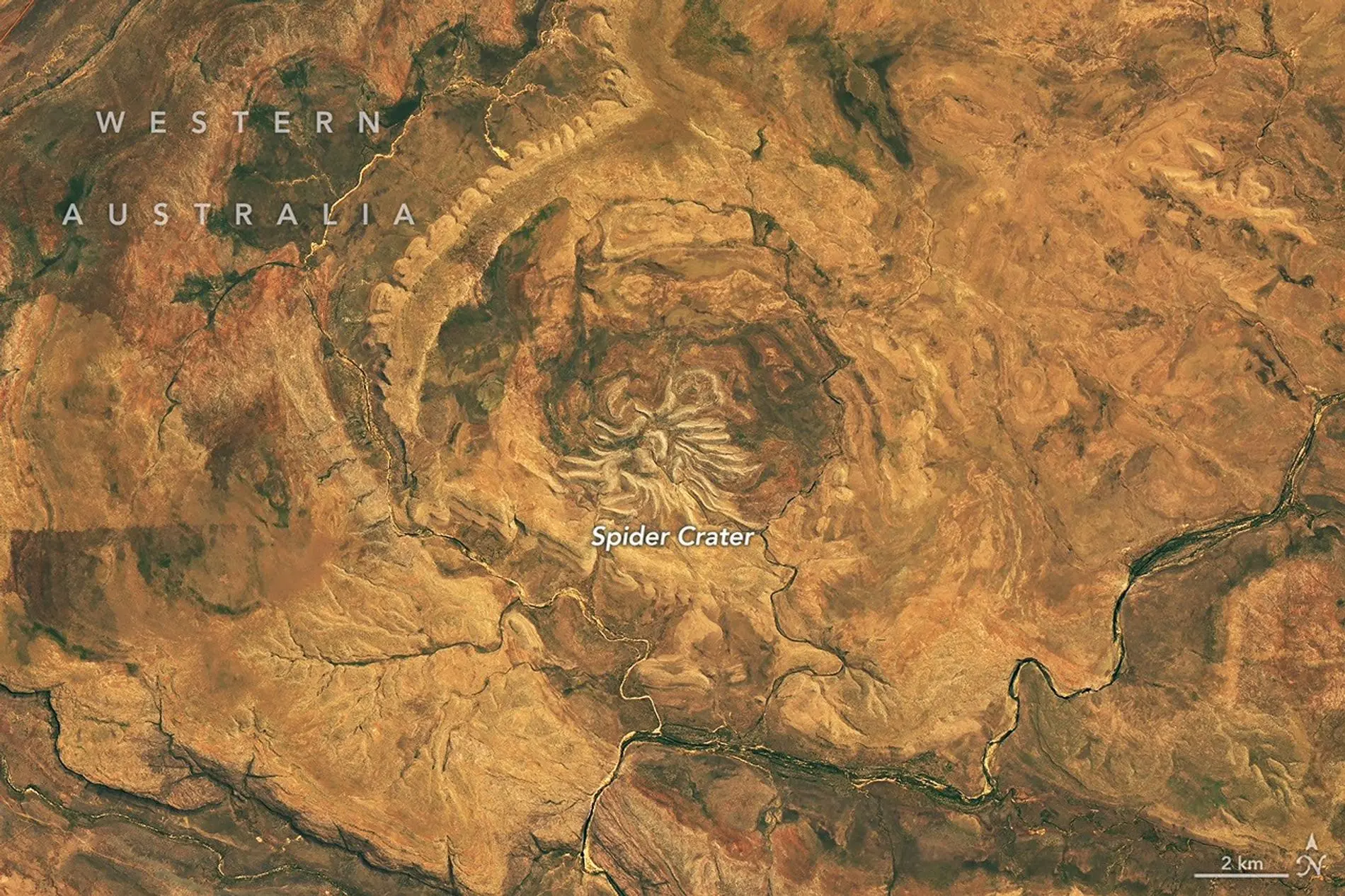 Ударный кратер Паук в Австралии. Источник: NASA Earth Observatory image by Michala Garr...