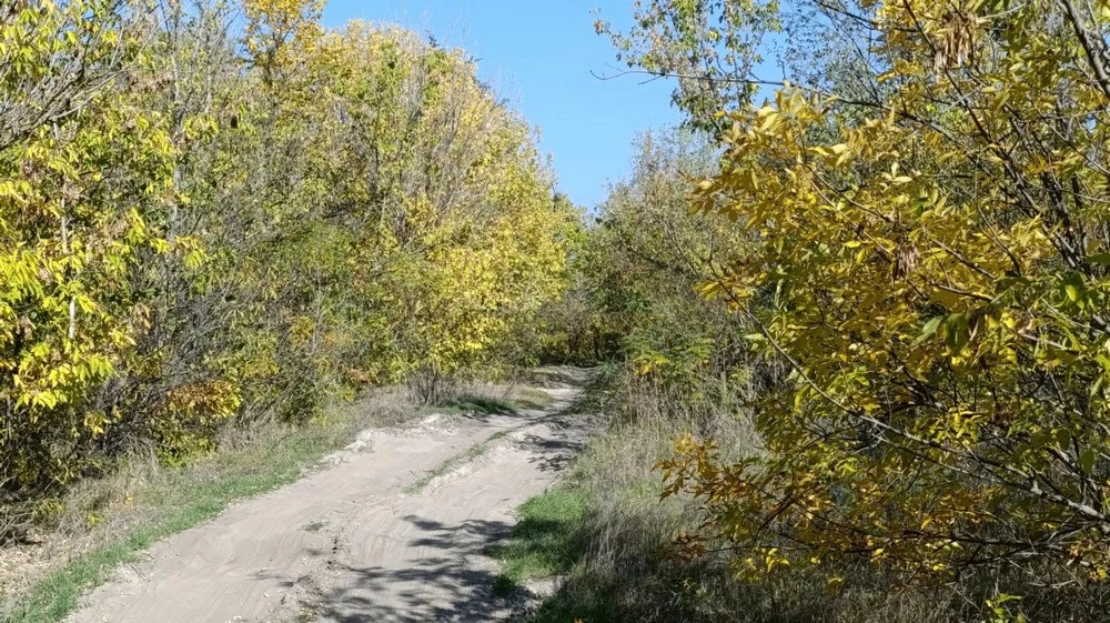Народные приметы на 16 октября