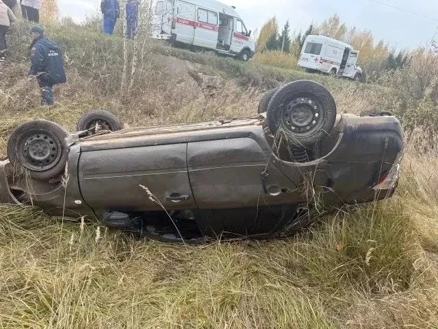 В Можгинском районе легковой автомобиль съехал в кювет: пострадали два человека: