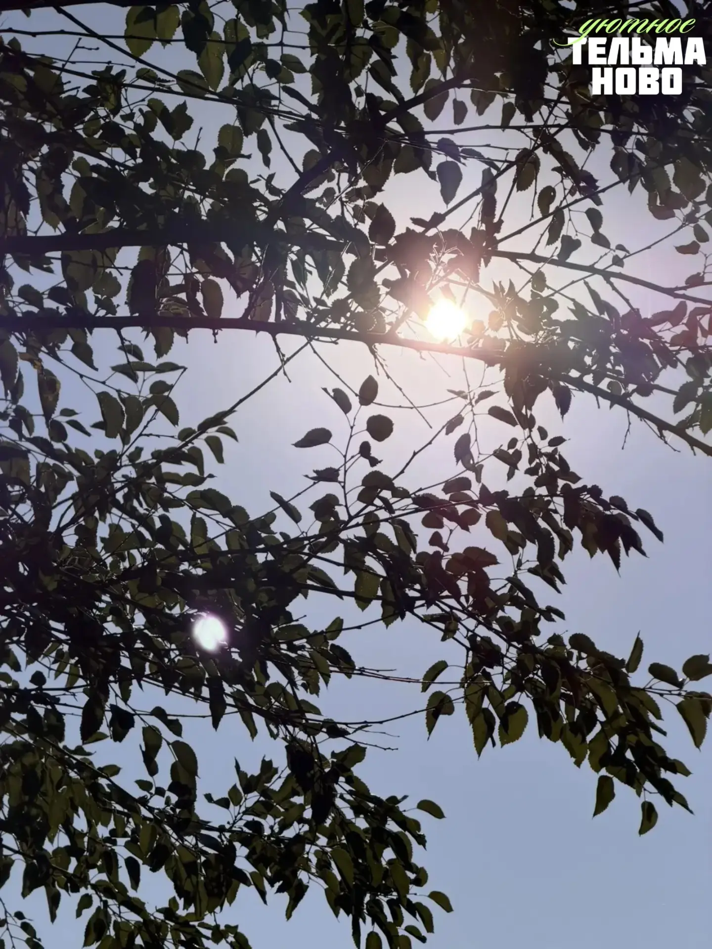 Понедельник. Утро. Первый день новой недели 🌞