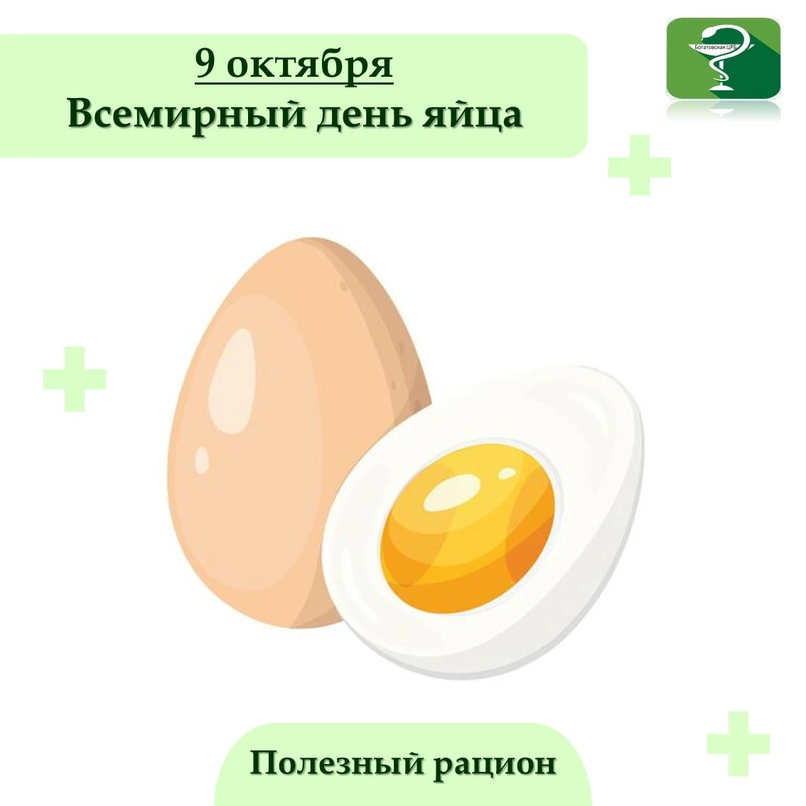 Всемирный день яйца отмечают во многих странах во вторую пятницу октября. В 2026 году э...