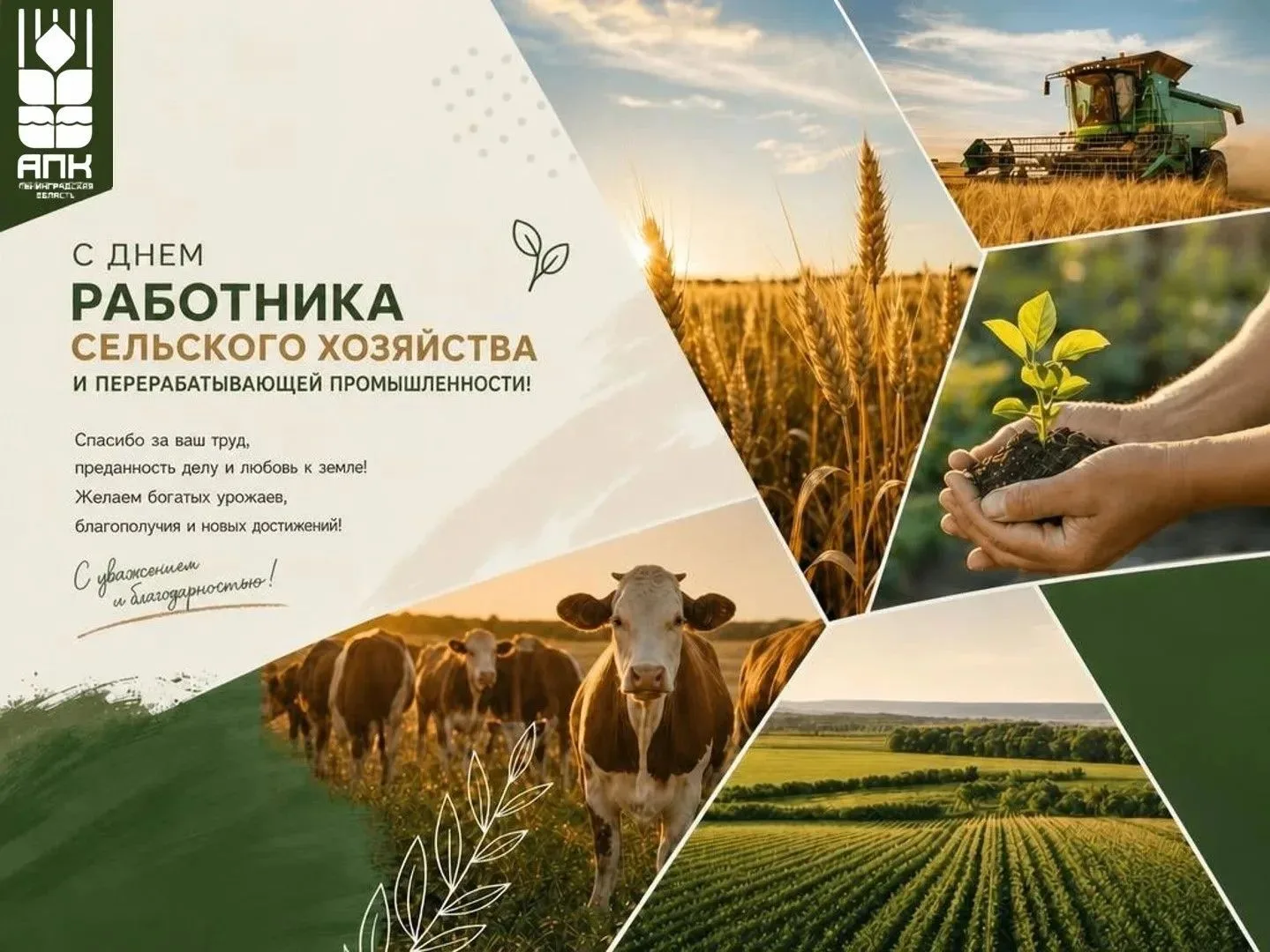 Уважаемые работники и ветераны агропромышленного комплекса и перерабатывающей промышлен...