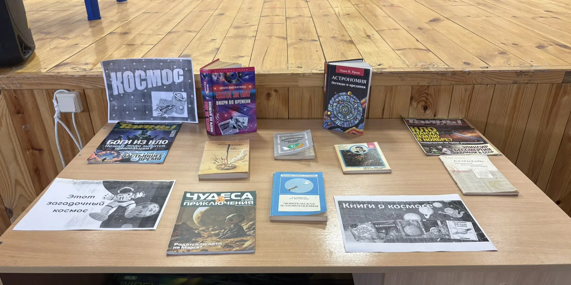У нас прошёл настоящий праздник для ребят: игровая программа с Леди Бум и книжная выста...
