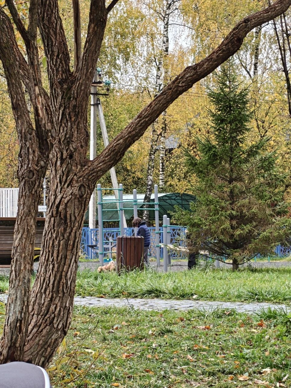Не первый раз местные жители замечают двух парней, которые выгуливают собаку на спортив...
