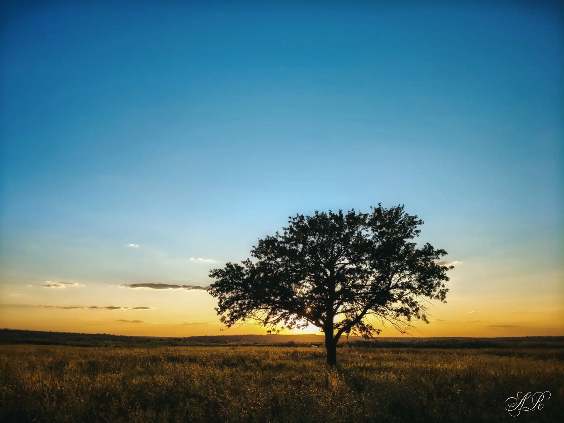 Свобода в одиночестве 🌳