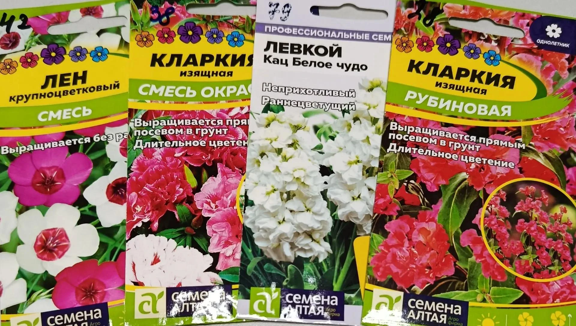 ЭФФЕКТНЫЕ ЦВЕТЫ ДЛЯ ПРЯМОГО ПОСЕВА В ГРУНТ