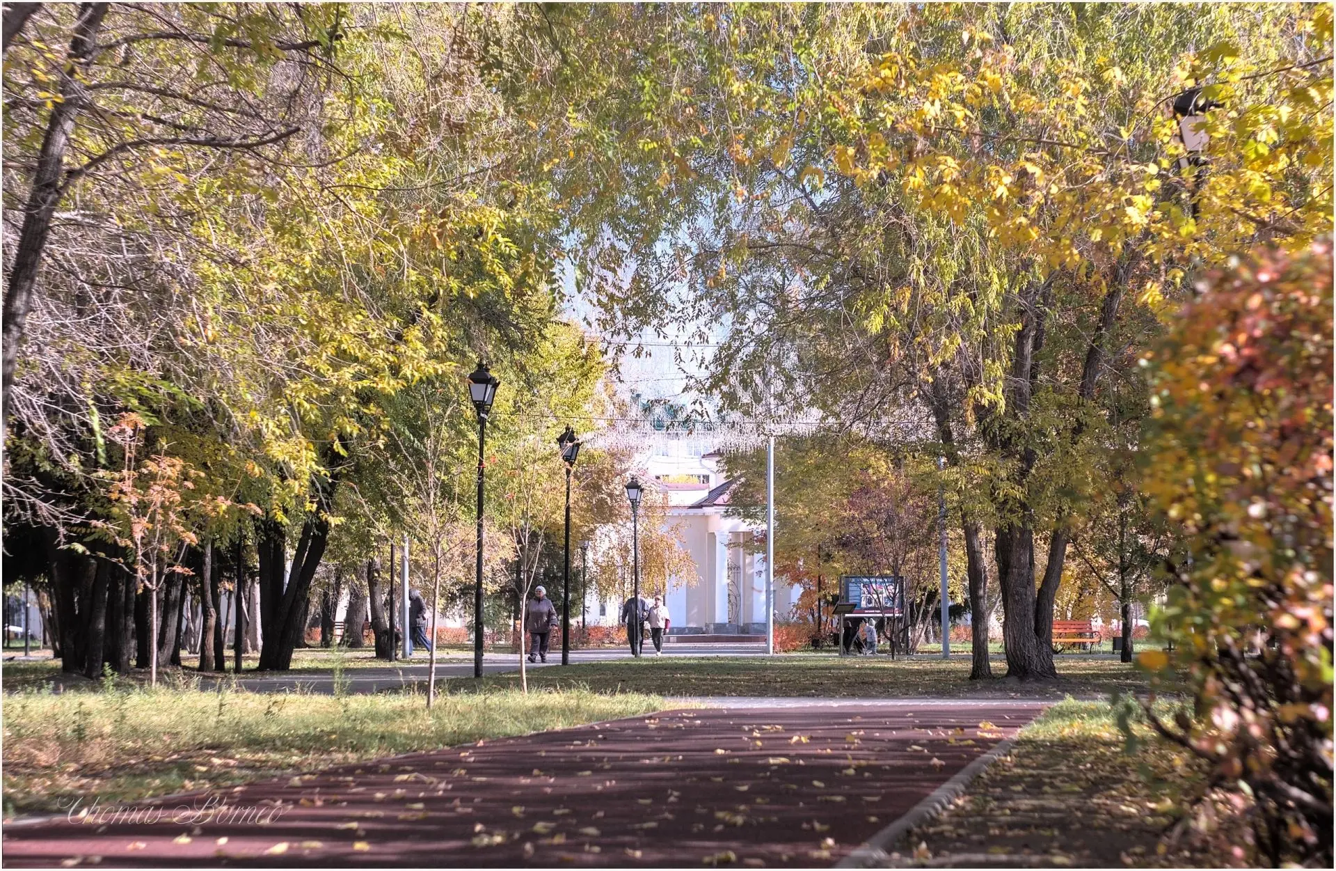 Осень в городском саду 🍂
