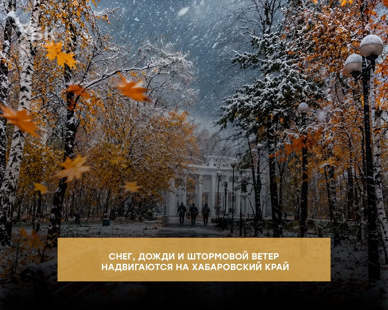 ❄️ Снег, дожди и штормовой ветер надвигаются на Хабаровский край