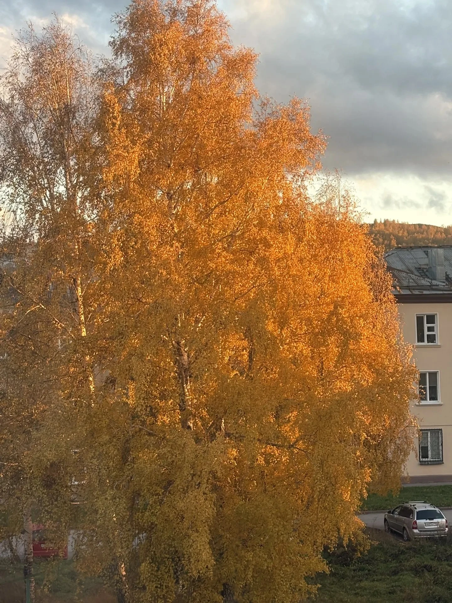 📸 Осень в объективе камеры жительницы Гурьевска Ларисы Пономаревой.