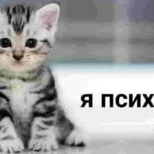 🥴 Всемирный день психического здоровья отмечается сегодня