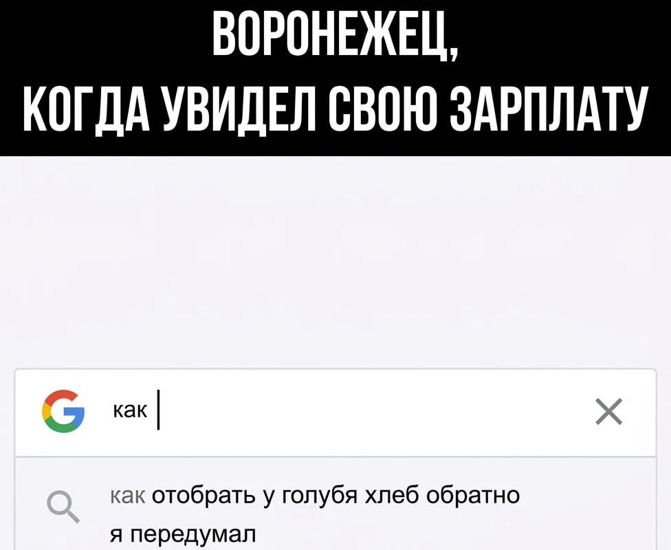 Как отобрать у голубя хлеб обратно: исследователи посчитали реальную зарплату воронежцев