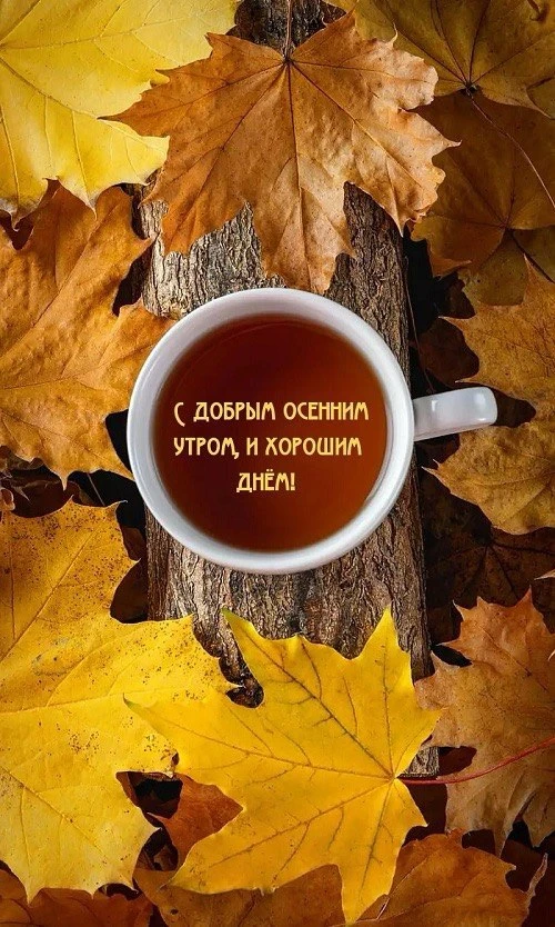 Суббота — время для отдыха и семьи! 🌞