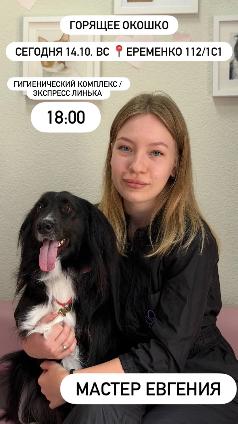 Горящее окошко на сегодня на Еременко 112/1с1🐾