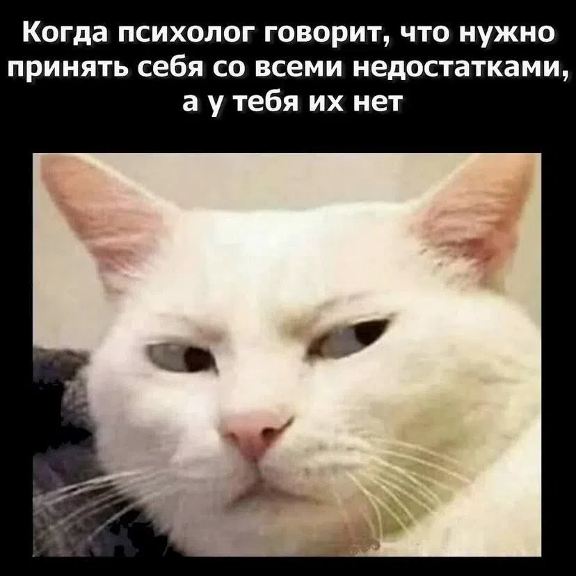 #Этоюмор