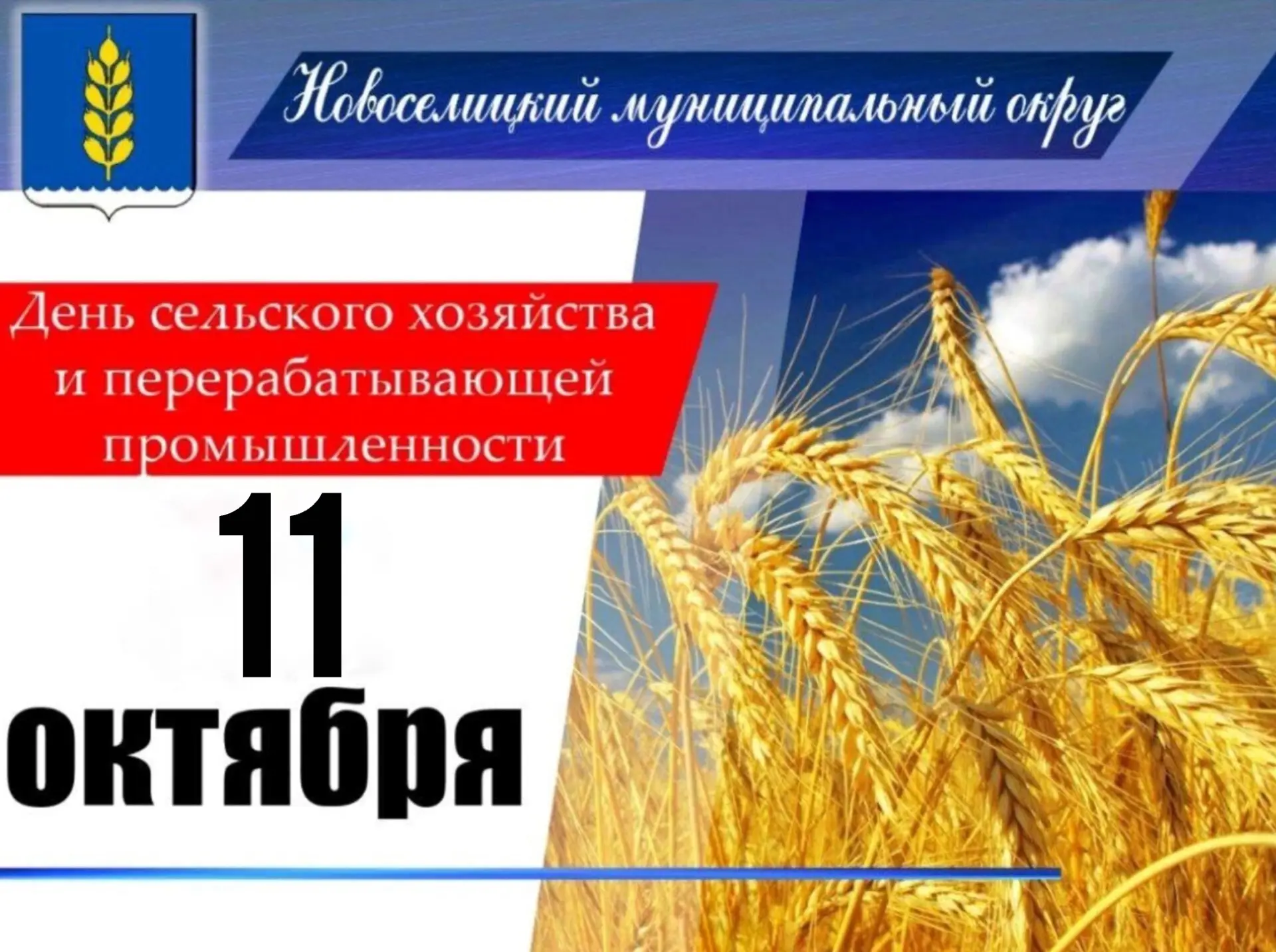 Сегодня свой профессиональный праздник отмечают работники сельского хозяйства и перераб...