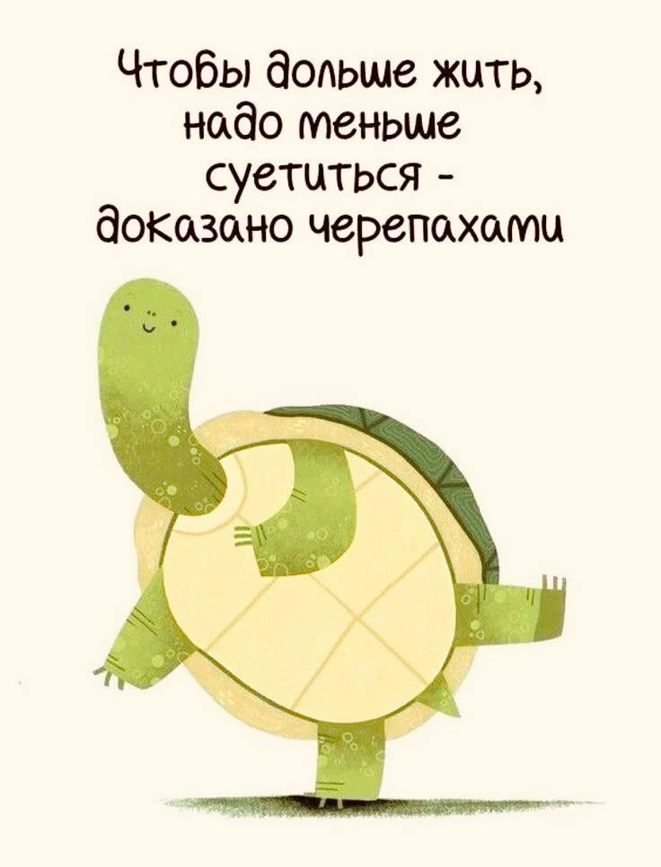 #Цитаты 🐢