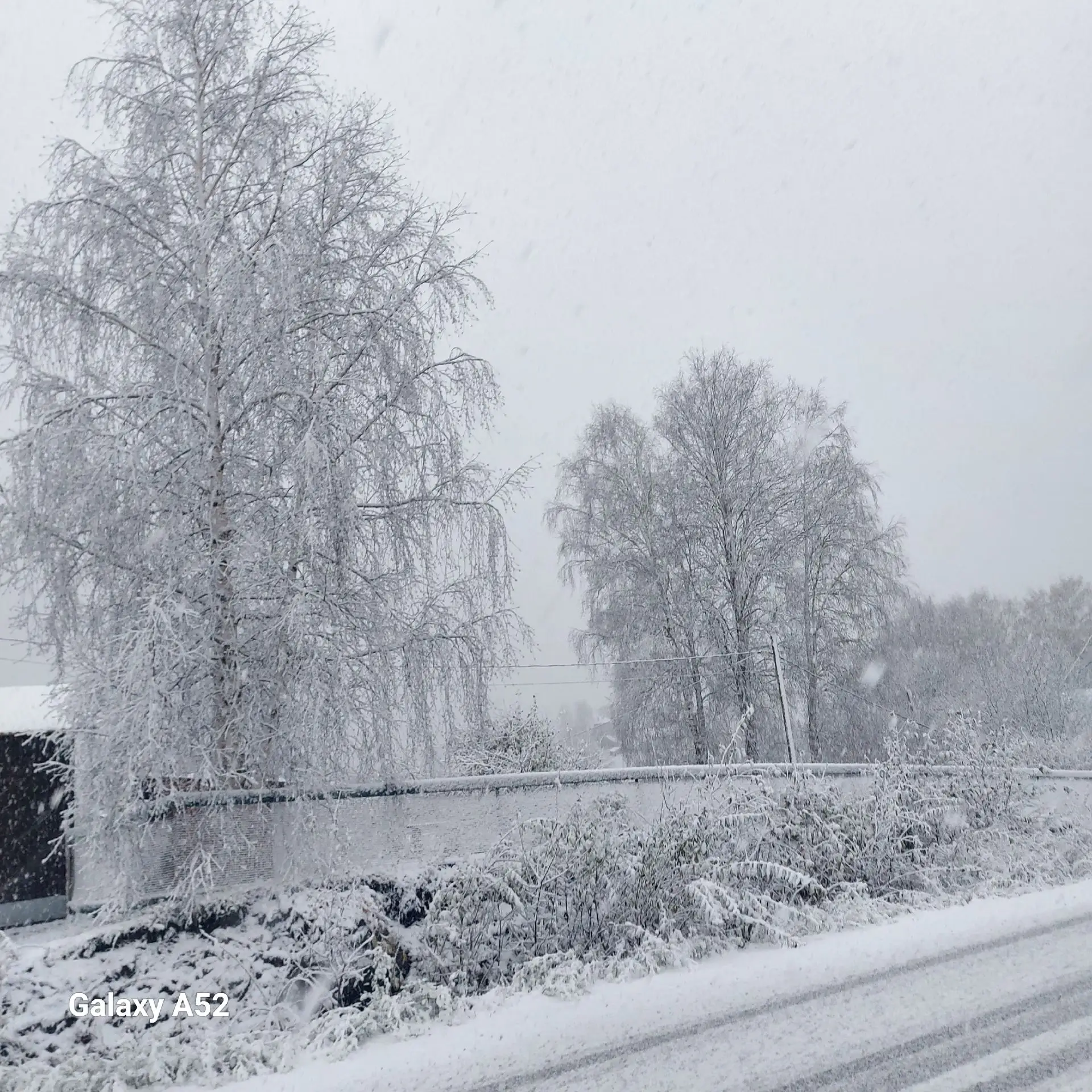 Заонежье , октябрь 2026 ❄️