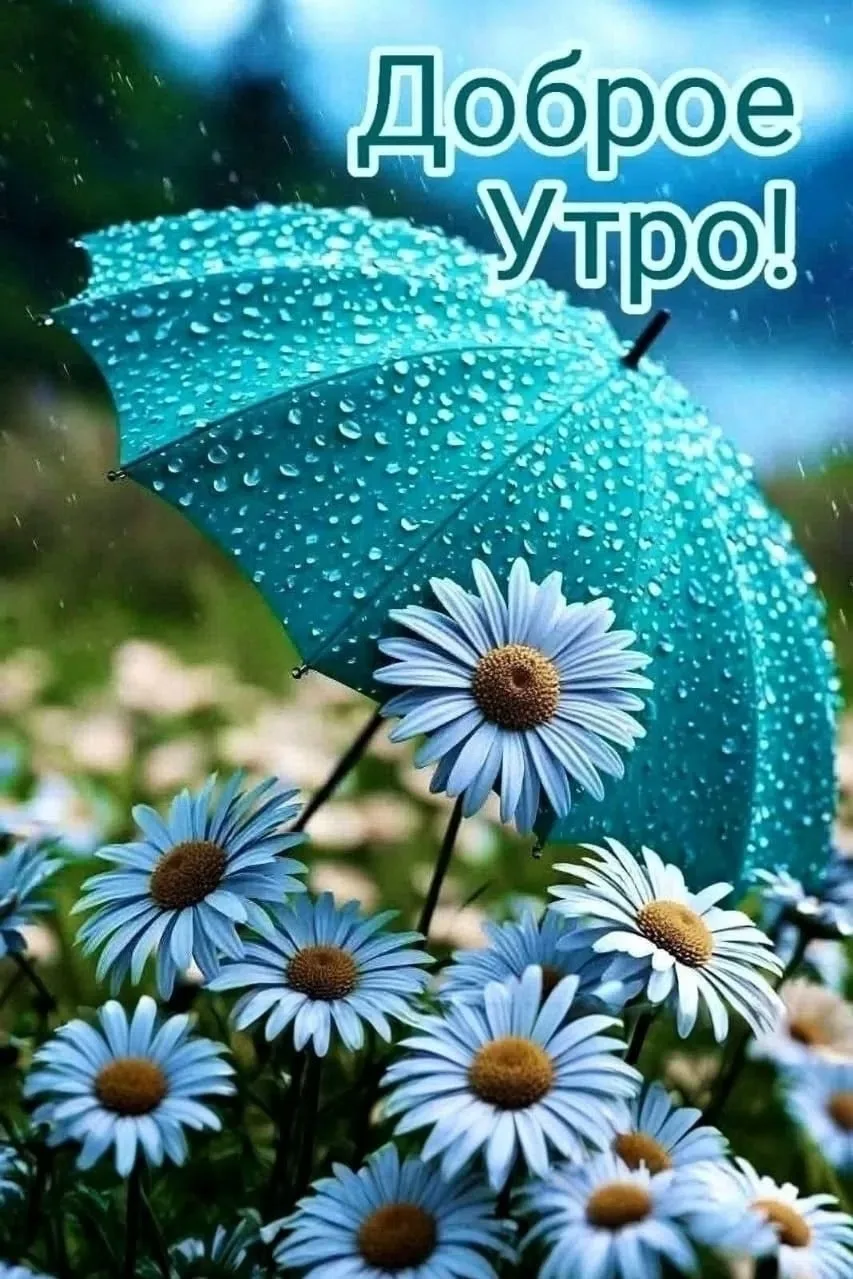 Прогноз на день.