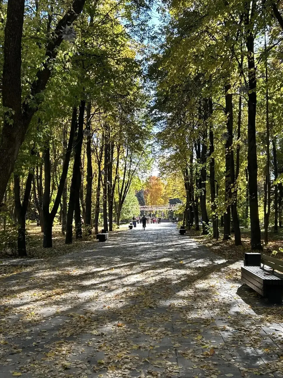 **Пятница в Липецке: до +18° и без ранних холодов ☀**