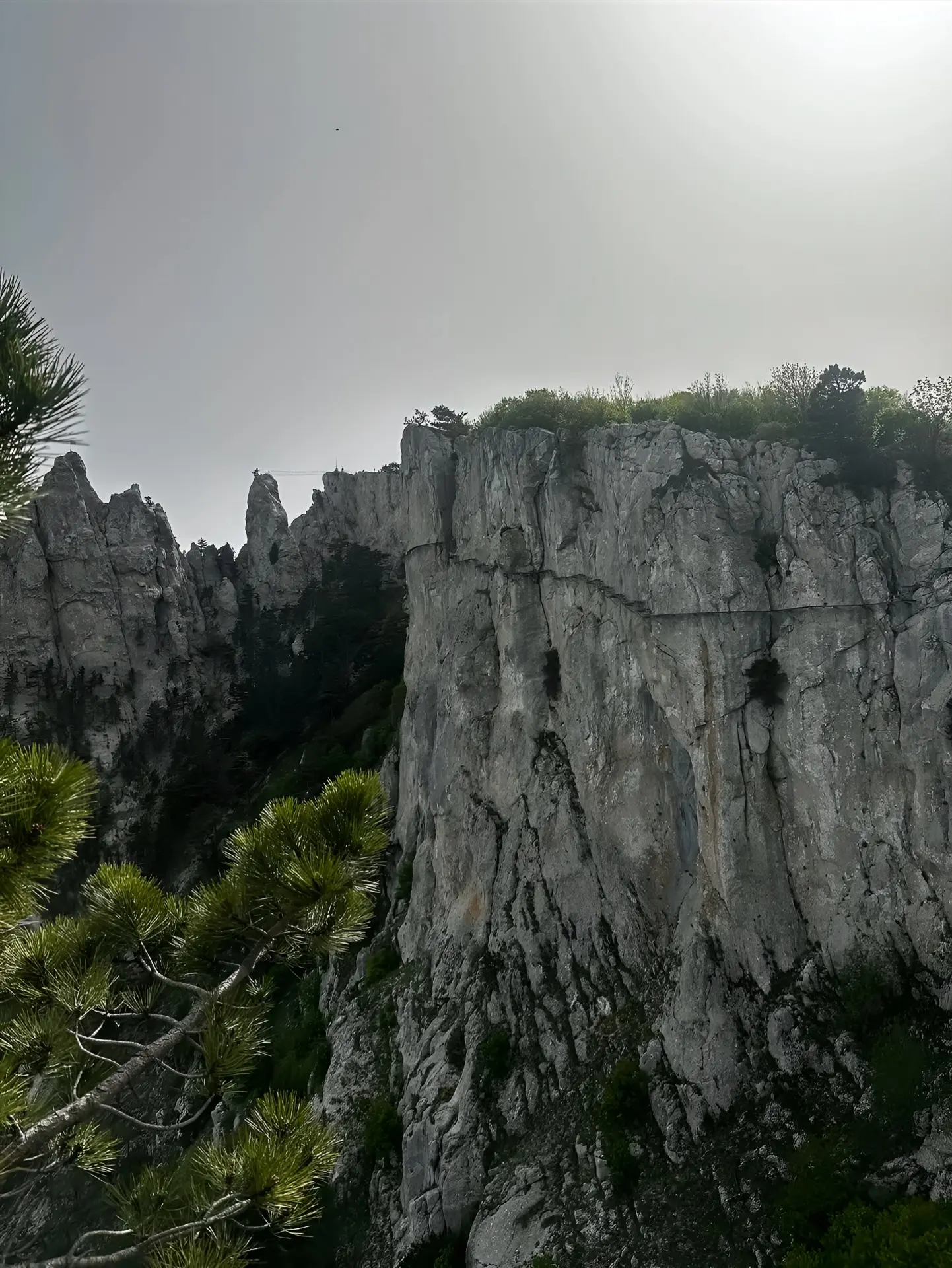 ⛰️Ай-Петри