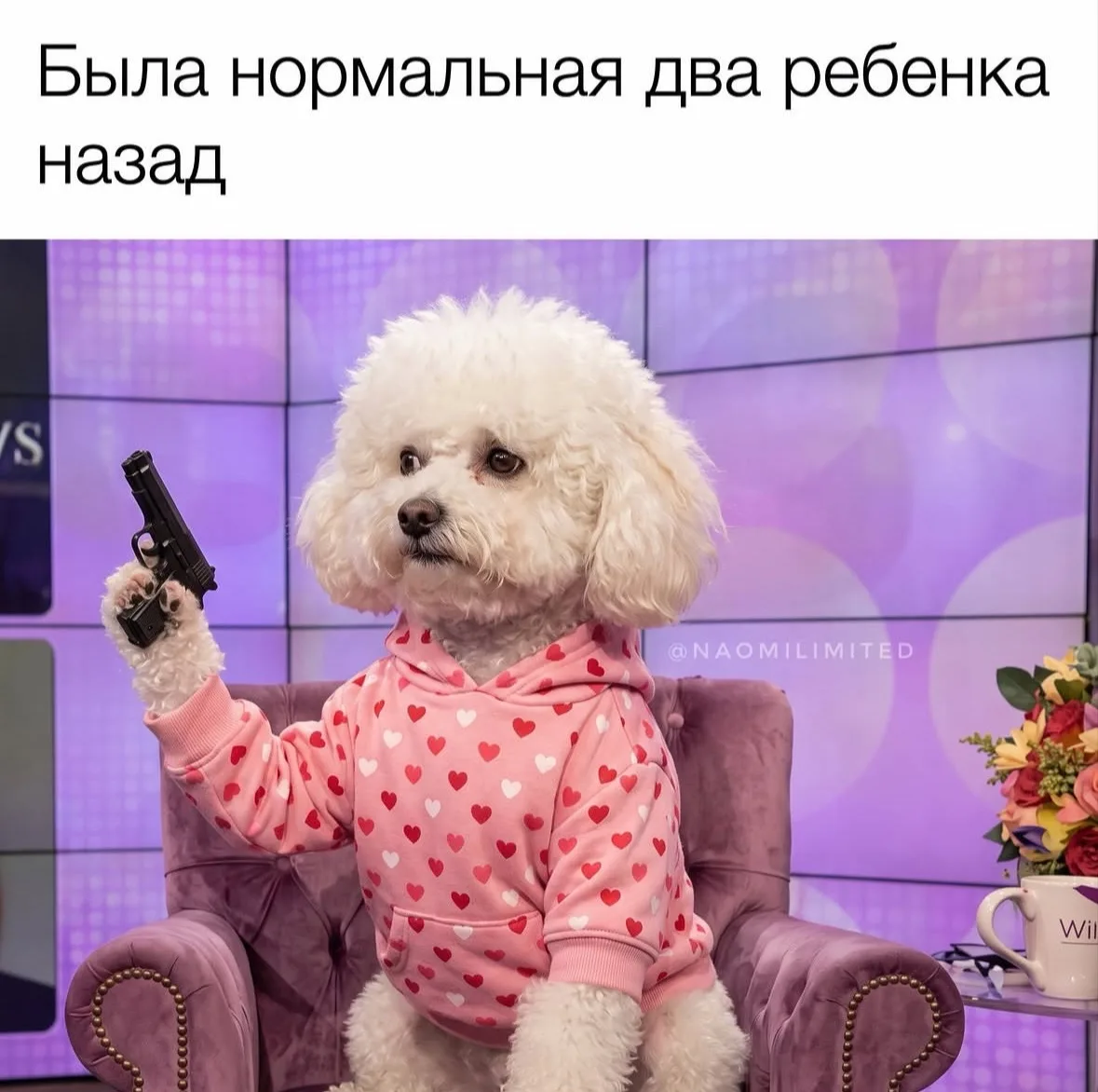 Ну мы по классике походили в садик и сели дома с насморком.