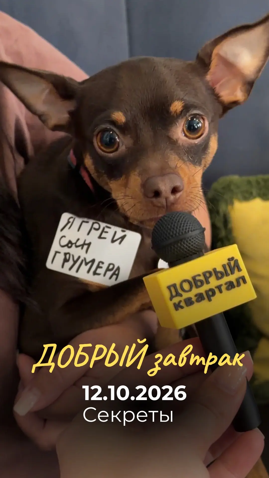 с какого необычного факта о себе вы бы начали знакомство?