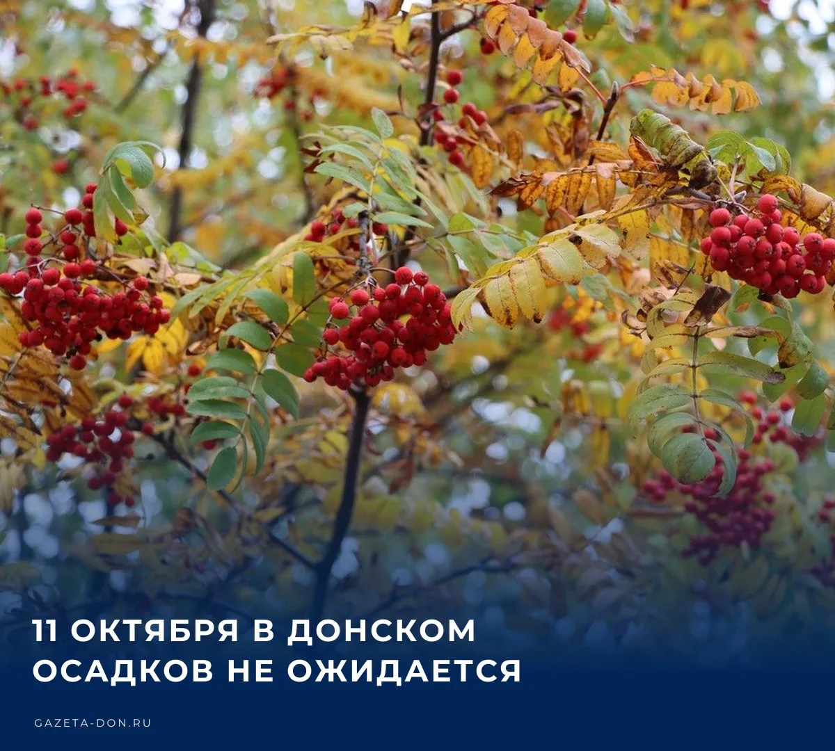 🌤️ Завтра днем погода в Донском будет облачная, без осадков. Температура воздуха повыс...