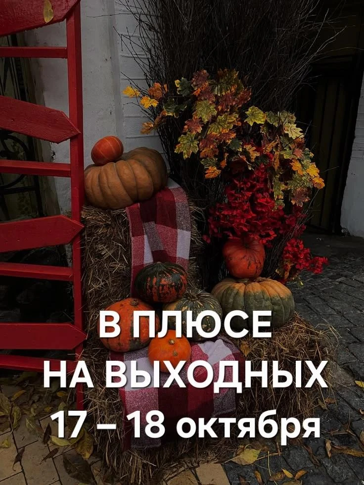 Куда сходить в Красноярске 17–18 октября🍁