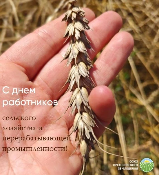 ❤️👨‍🌾 🌾 🤝 Дорогие коллеги!