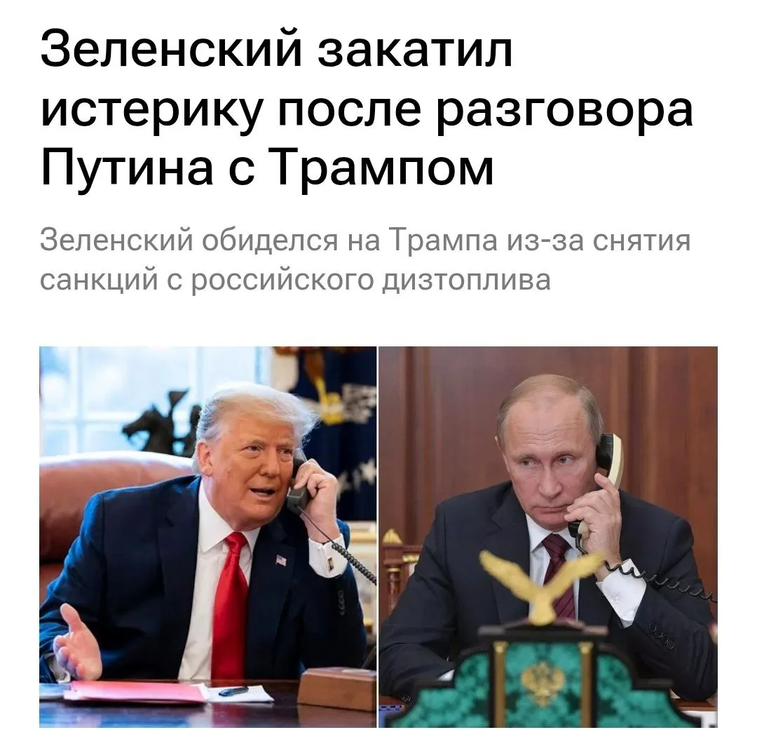 Хрюшка обижается.
