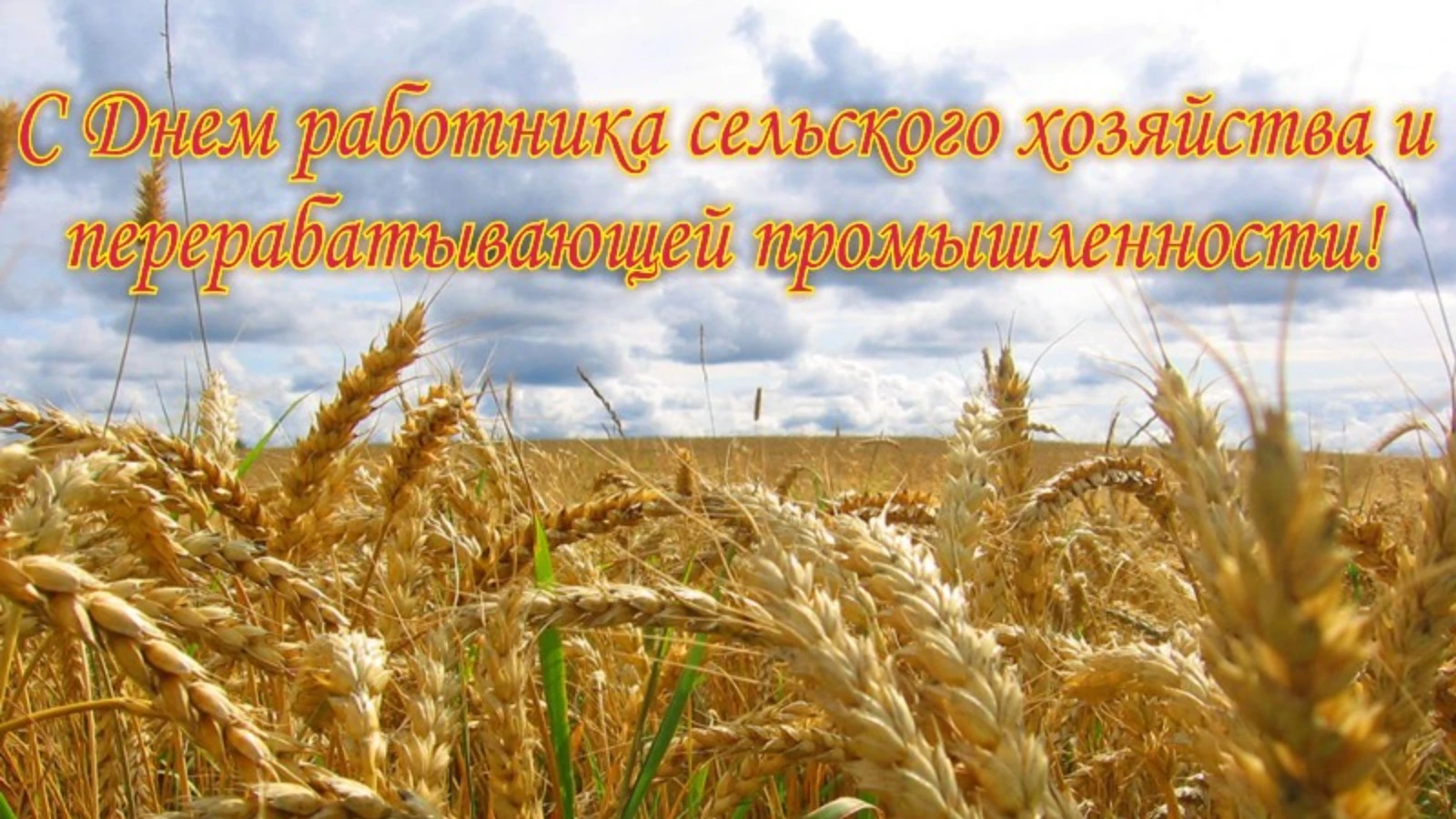 Уважаемые аграрии, ветераны отрасли Ремонтненского района!