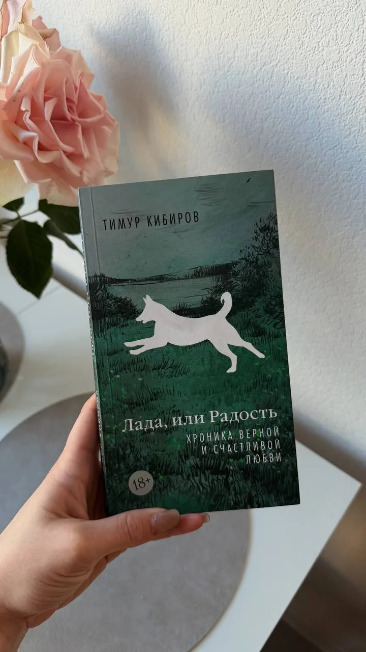 Одна из книг, которую дочитала в больнице: