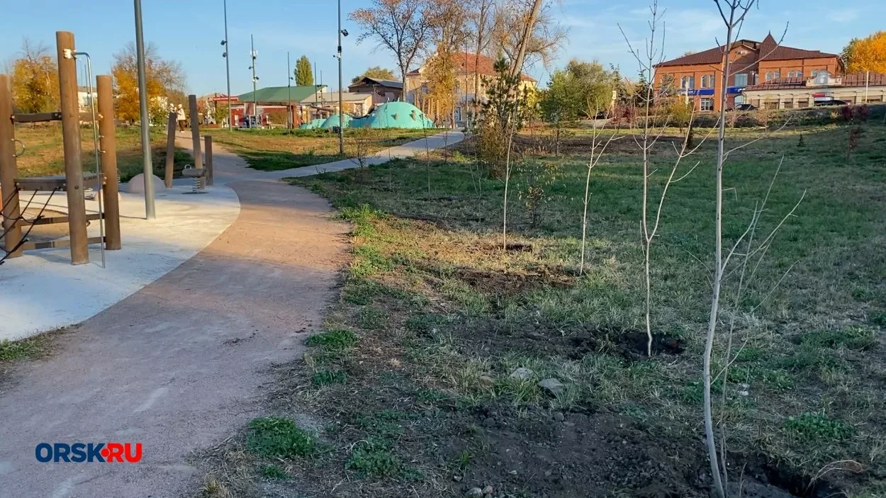 🌳В саду Шевченко высадили 30 новых деревьев