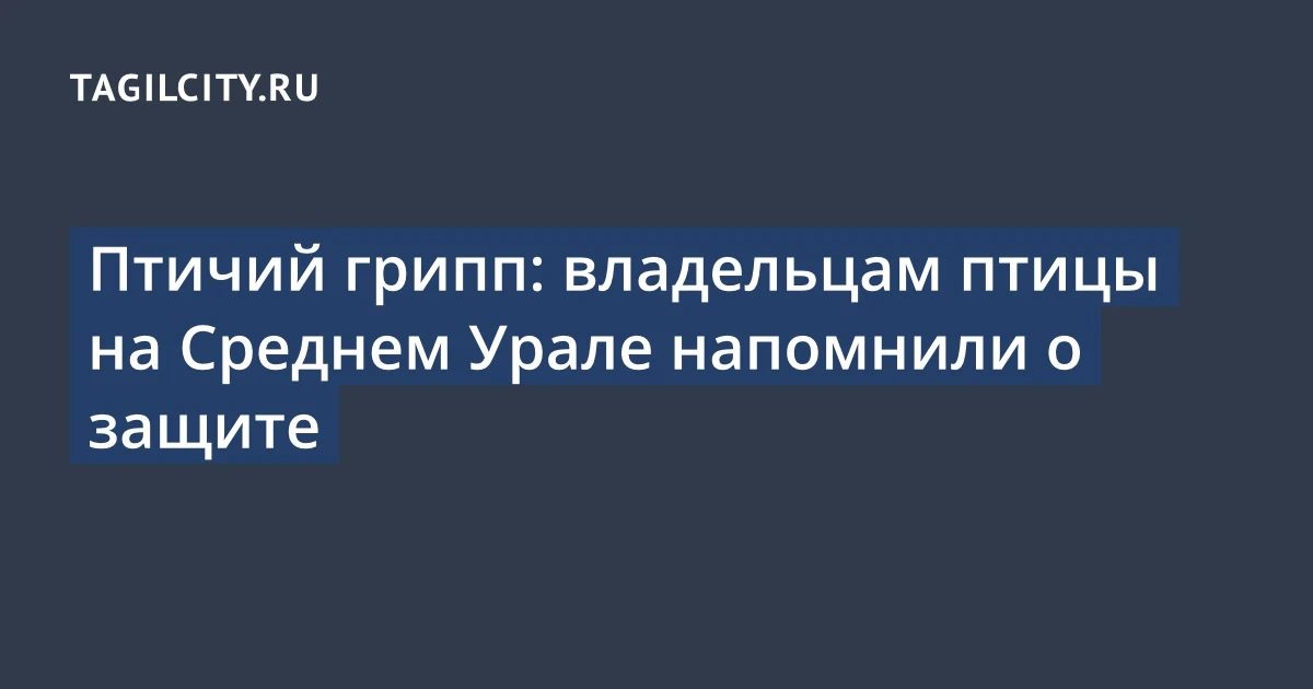 Птичий грипп: владельцам птицы на Среднем Урале напомнили о защите