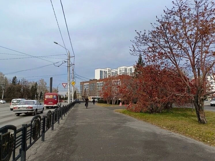 Похолодание до -7 градусов обрушится на Алтайский край на выходных 🥶