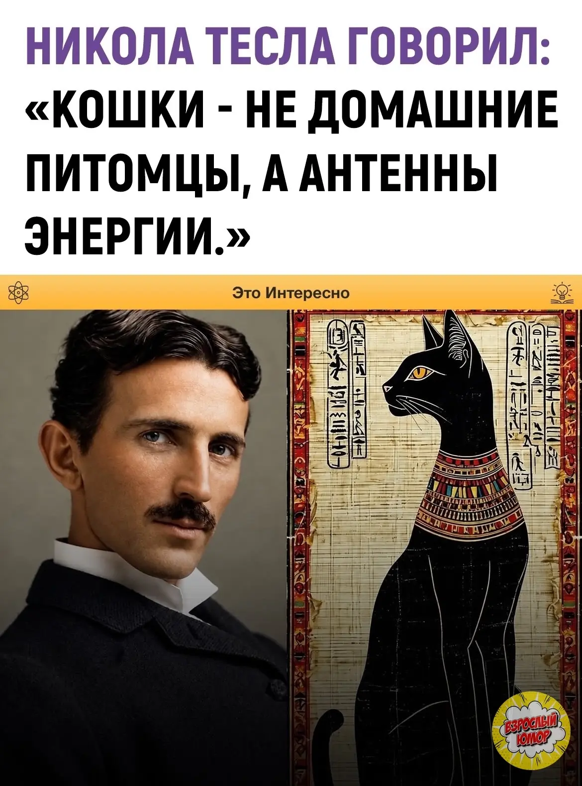 Одна из самых любопытных историй из детства Николы Теслы связана с котом. Рассказывают,...