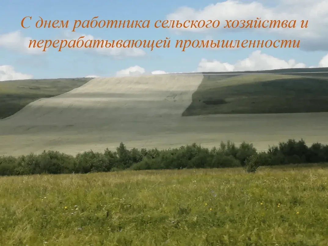 🌾Уважаемые работники и ветераны сельского хозяйства и перерабатывающей промышленности!