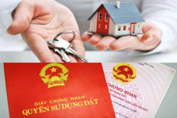 🇻🇳 Купить квартиру во Вьетнаме на своё имя в 2026 году: мифы и реальность