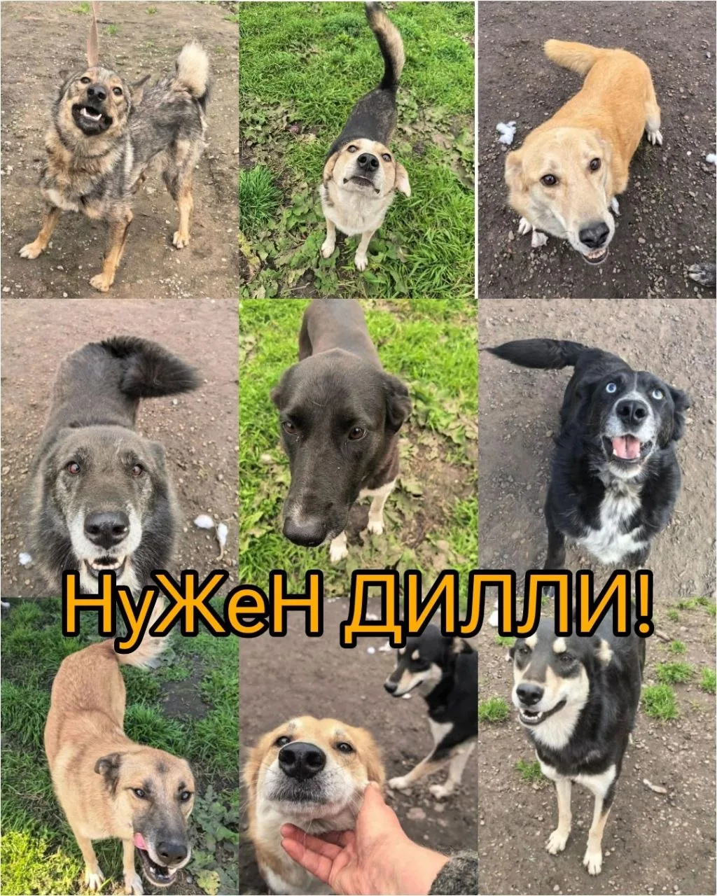 🚨🆘 9.10 — ОЧЕНЬ СРОЧНО! 🆘🚨
