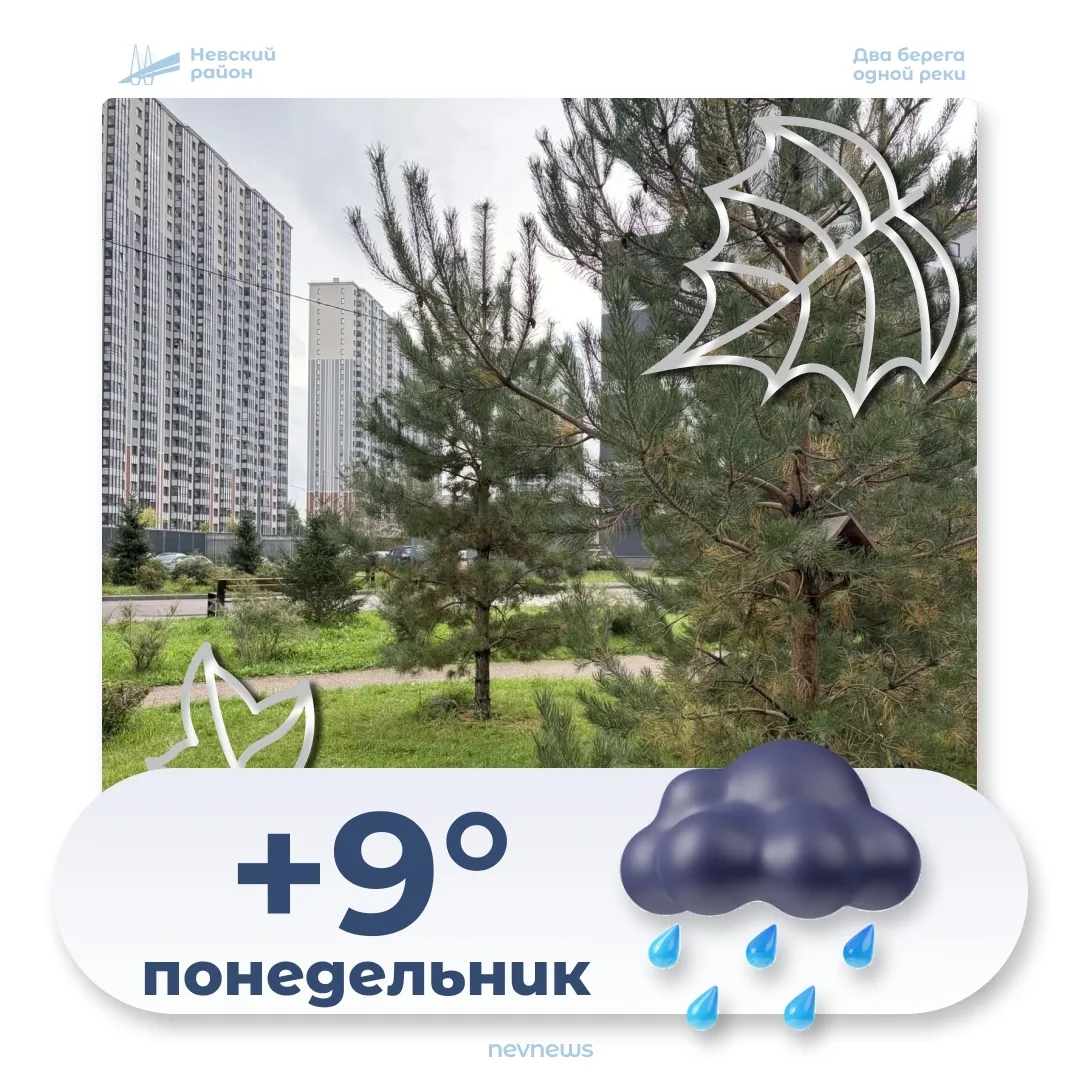 Сегодня, 12 октября, в Невском районе ожидается переменная облачность. Температура днём...
