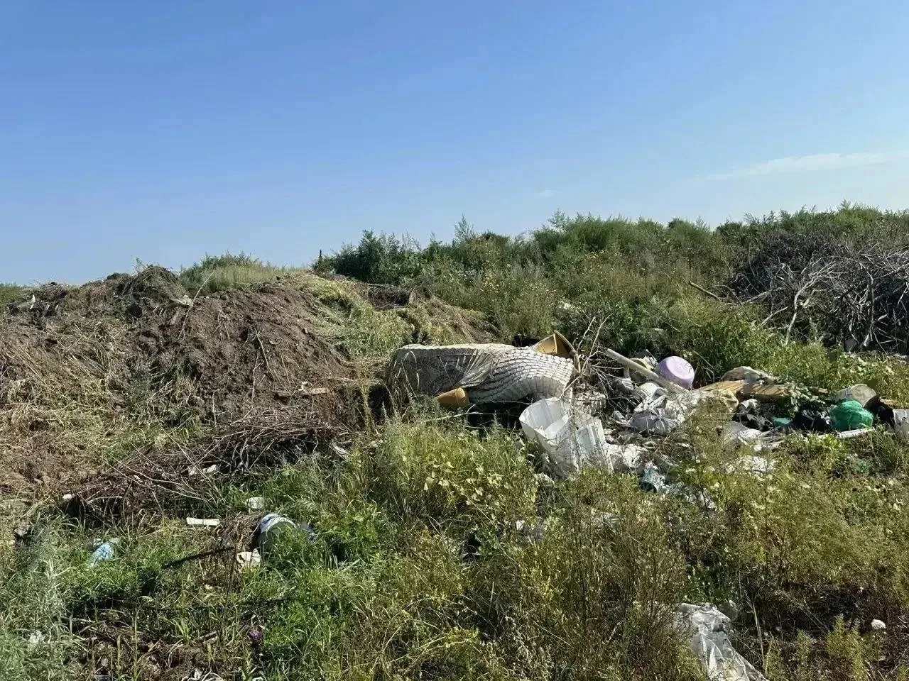 Начистоту: ликвидация несанкционированных свалок в Благовещенском муниципальном округе ...