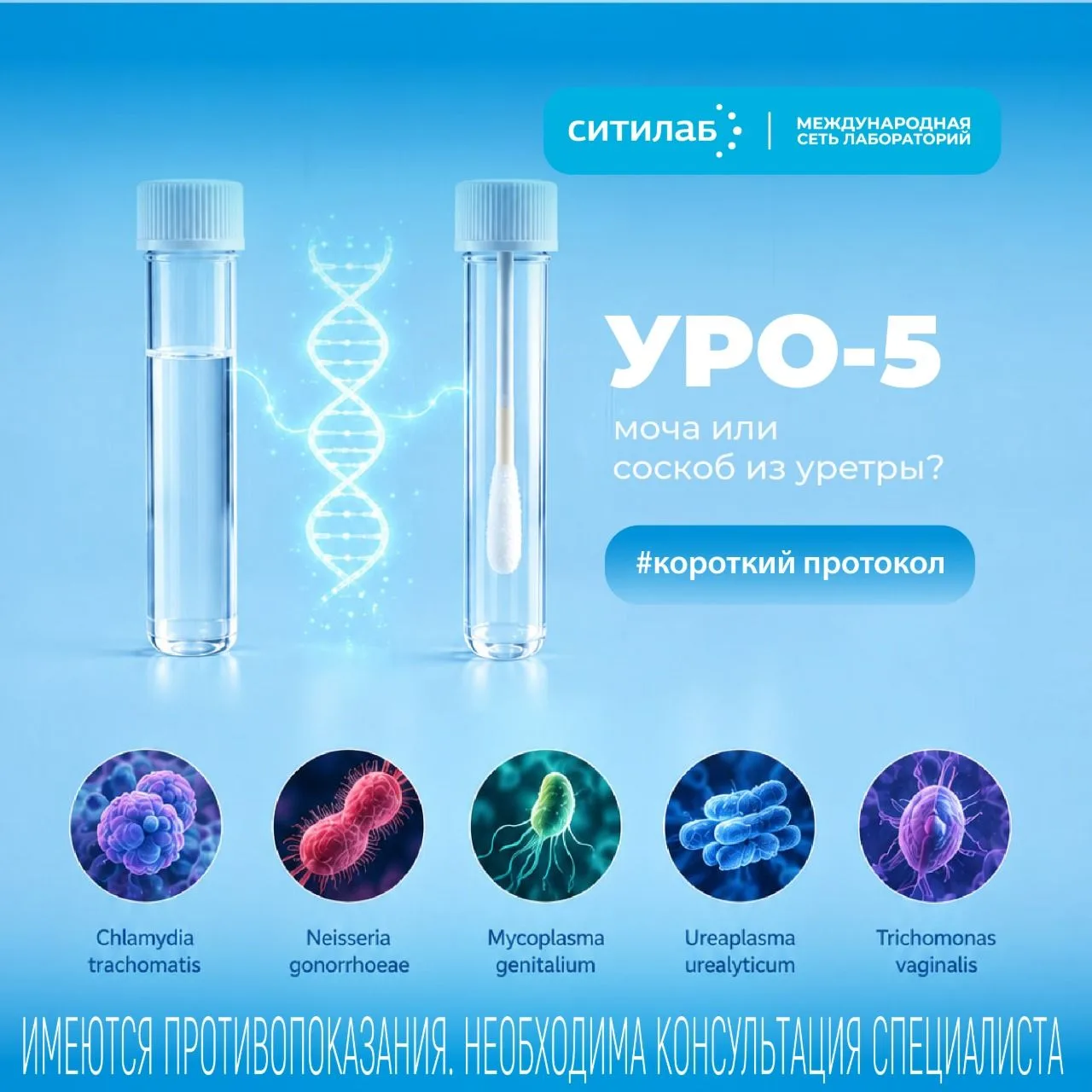 #короткийПротокол