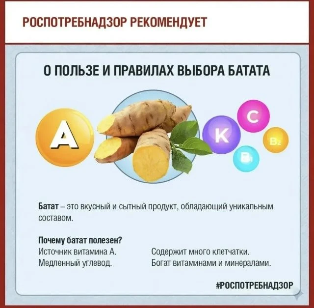 Роспотребнадзор рассказывает о пользе и правилах выбора батата