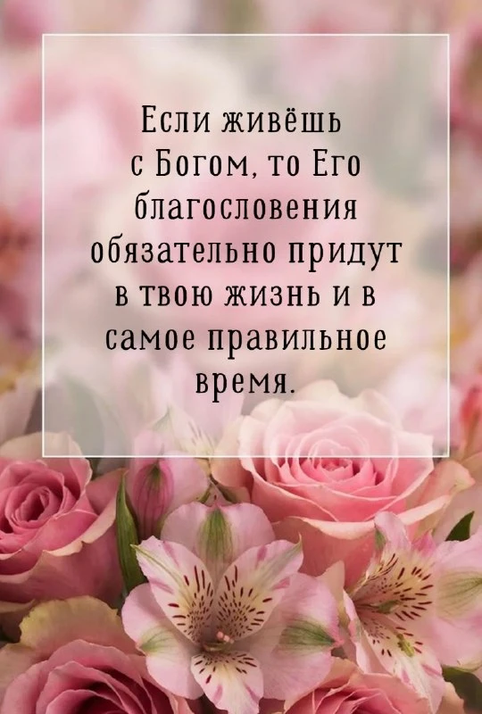 Божьей радости и мира вам! 🙏