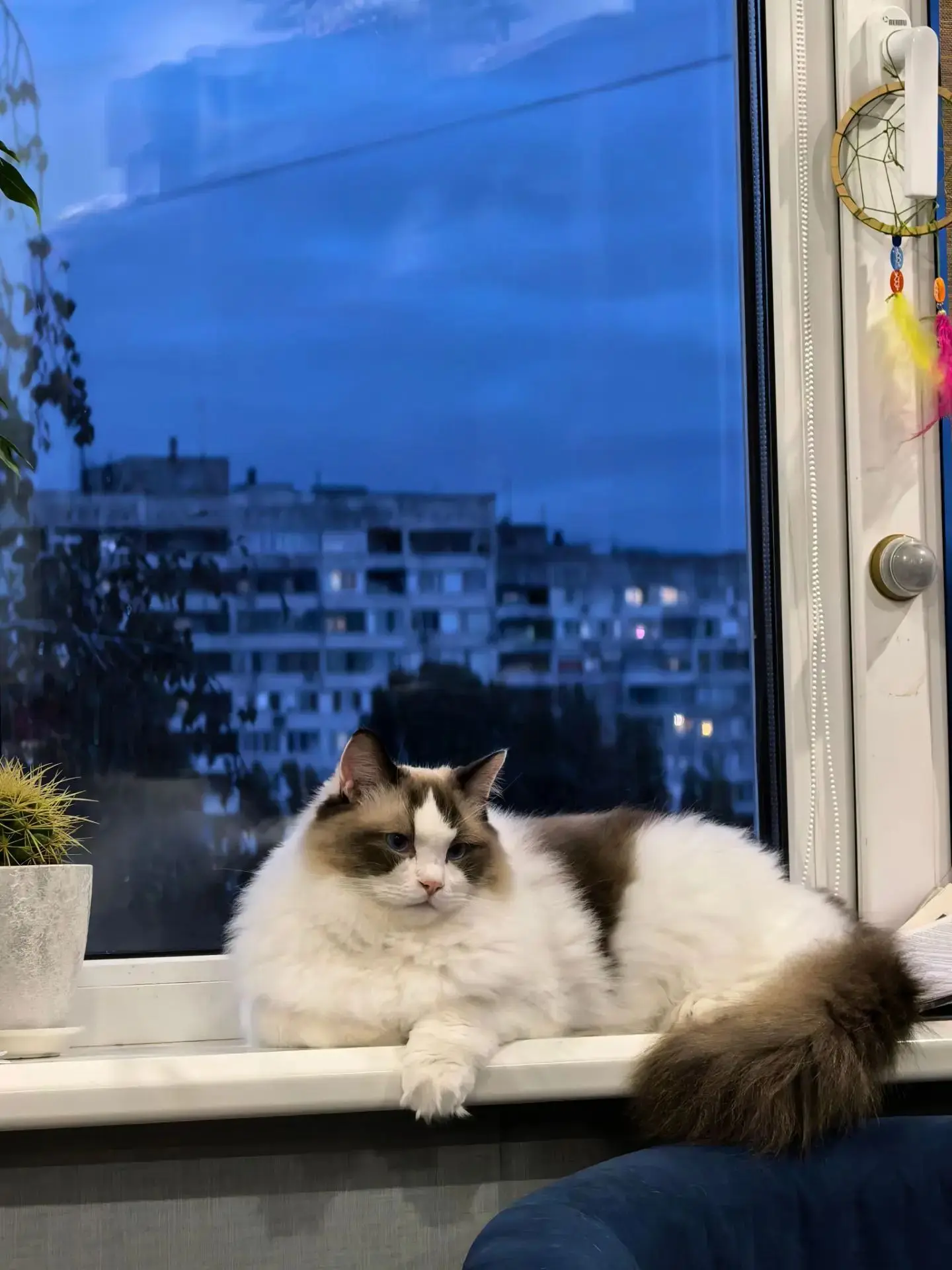 Фото приветик из Воронежа ул. Лизюкова 😁